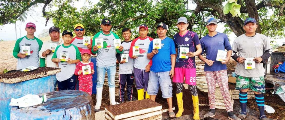 ¿Por qué usar semillas híbridas en el Ecuador?